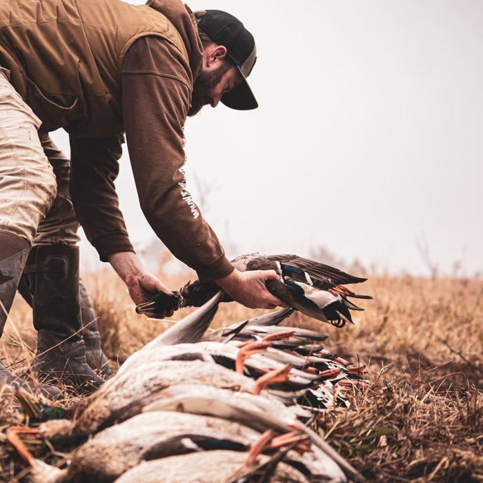 Duck Hunting gallery moment